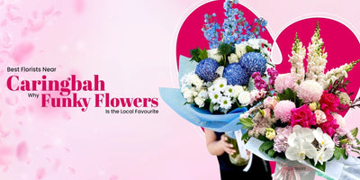 Best Florists Near Caringbah: Why Funky Flowers Is the Local Favourite