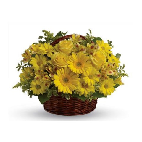 Basket of Sunshine - caringbahflowersgifts