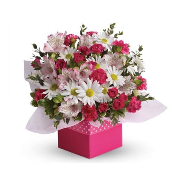 Polka Dot - caringbahflowersgifts