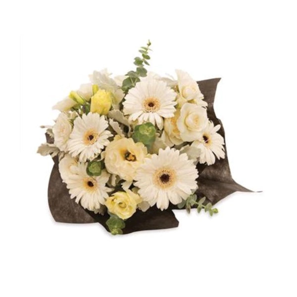 White Beauty - caringbahflowersgifts